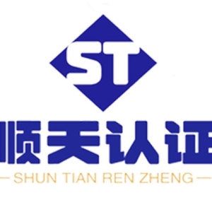 办理ISO 20000信息技术服务管理体系的关键步骤与好处
