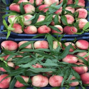 供应信息发布时应该注意什么？