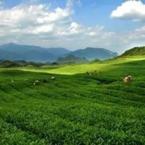 农业信息不知道怎么找应该怎么办？