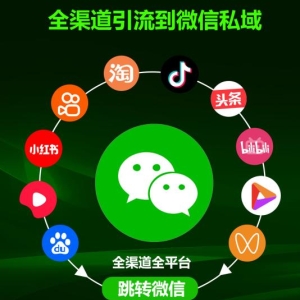 数字化时代的全球获客新趋势：引领企业走向成功之路